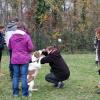 Dogdancing: Pose sur mon bras