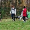 Flyball: Aimes-tu les balles?