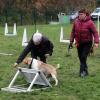 Flyball: demi-tour sur le lanceur