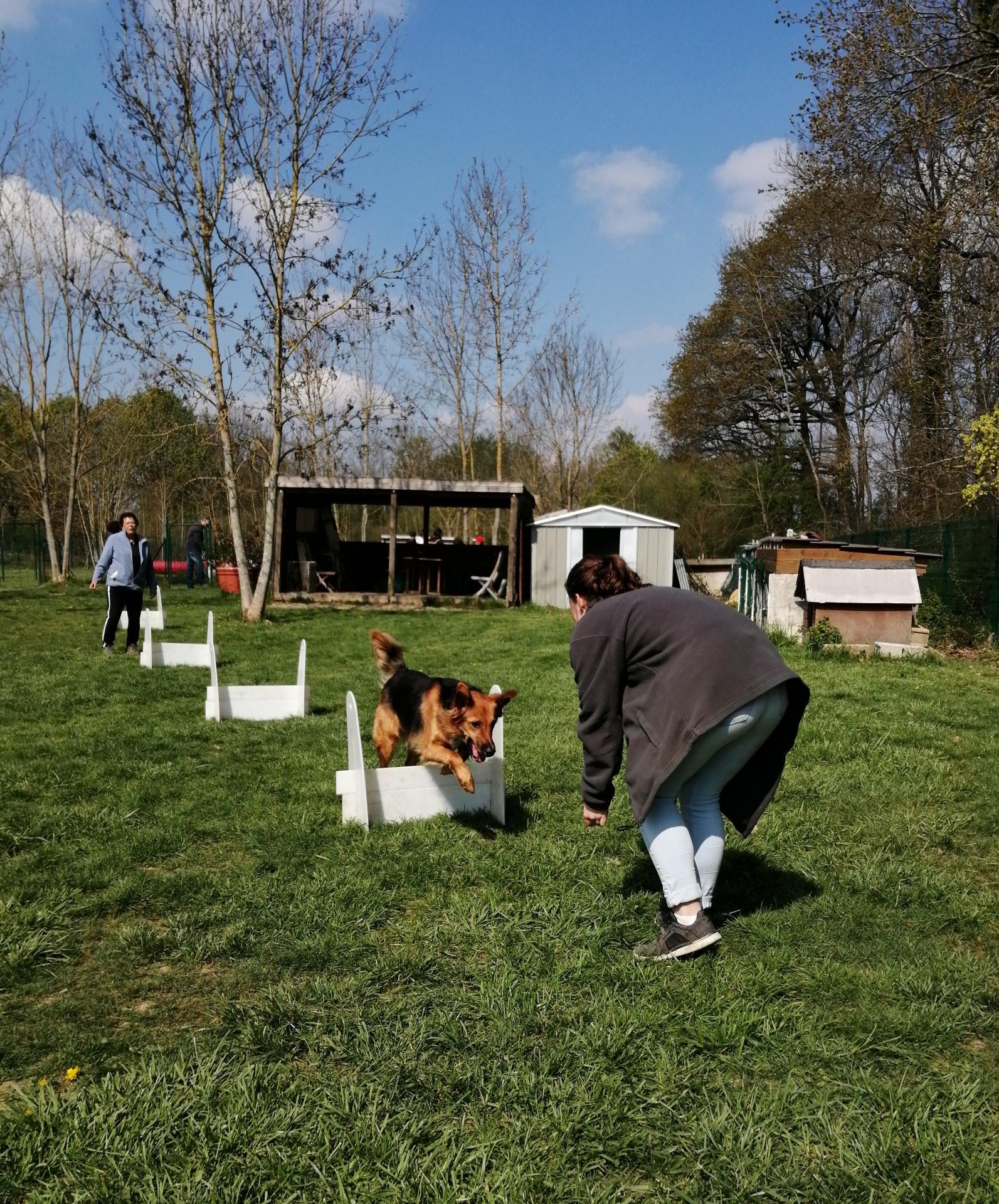 Initiation à différentes disciplines canines