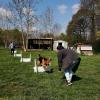 Flyball: fait la ligne d'obstacle