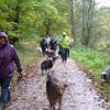 Sous la pluie en octobre