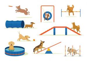 Agility
