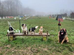 Sur fond de brouillard
