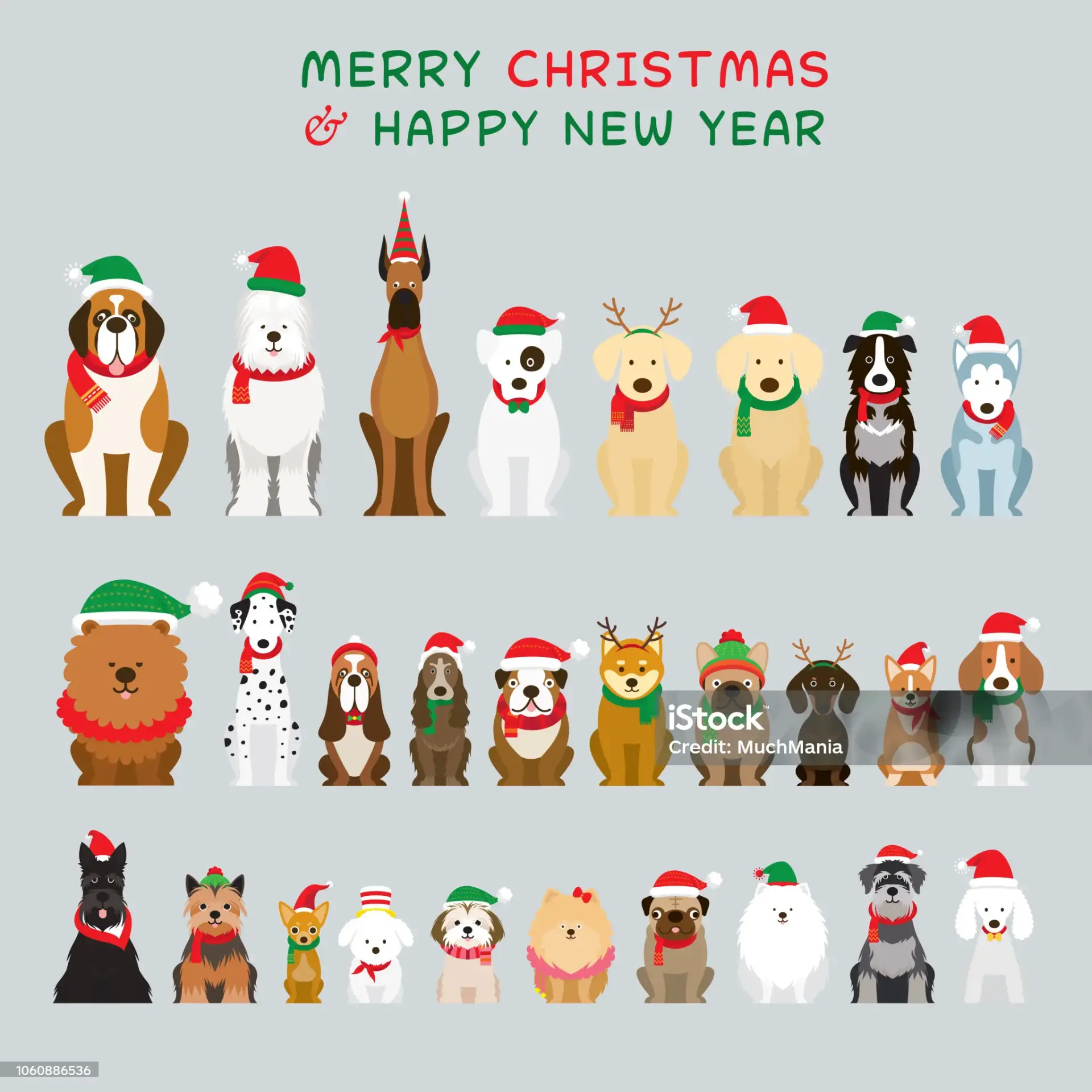 Istockphoto 1060886536 2048x2048