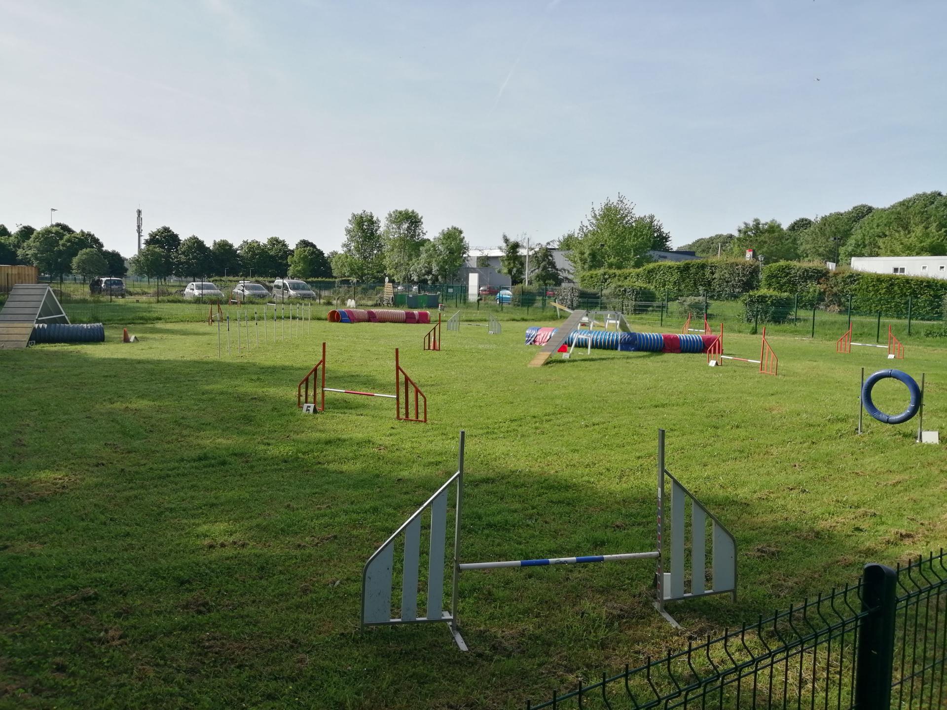 Terrain d agility